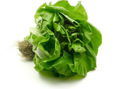 Red Hat Living Butter Lettuce, 1 ct