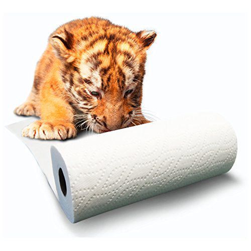 Royale Tiger Paper Towel, 1 ct